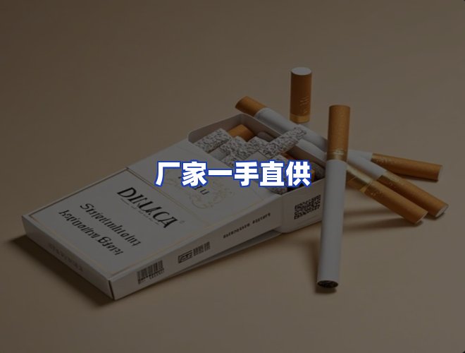 专业团队